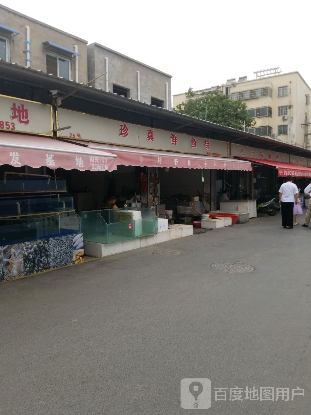 珍真鲜鱼铺