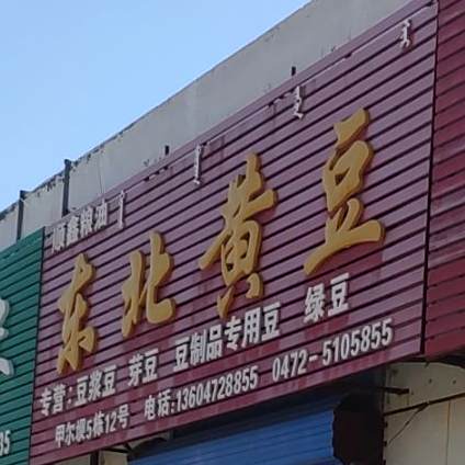 东北黄豆
