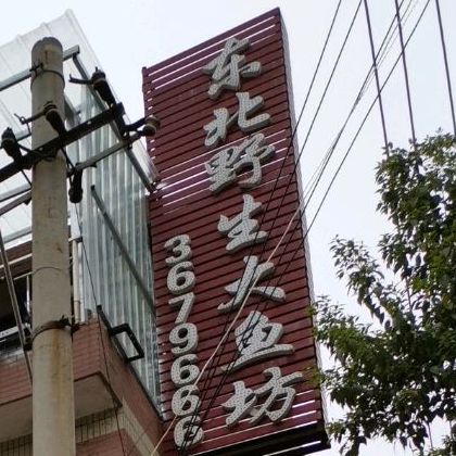 东北生大鱼坊(济源大道店)
