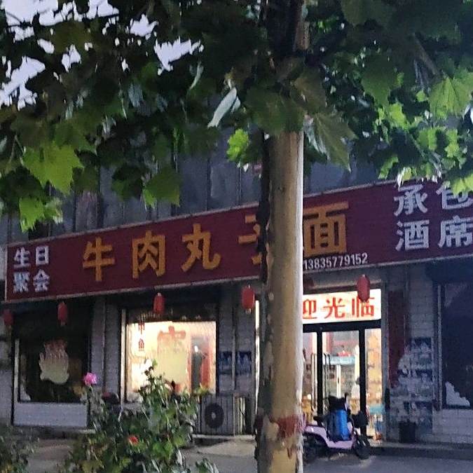 牛肉丸子面