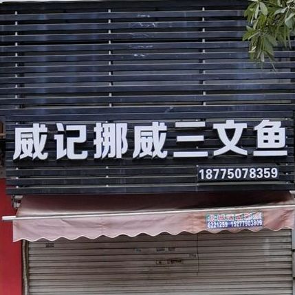 靓记挪威三文鱼(中药港店)