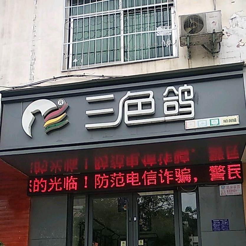 三色哥(南阳市委泰山路小区西)