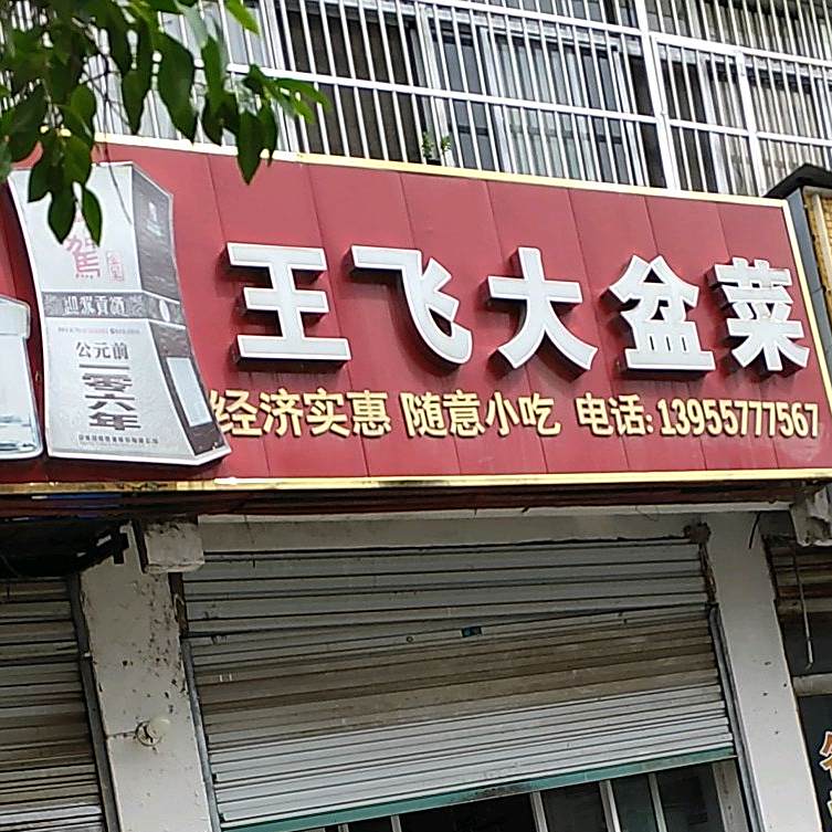 王飞大盘菜