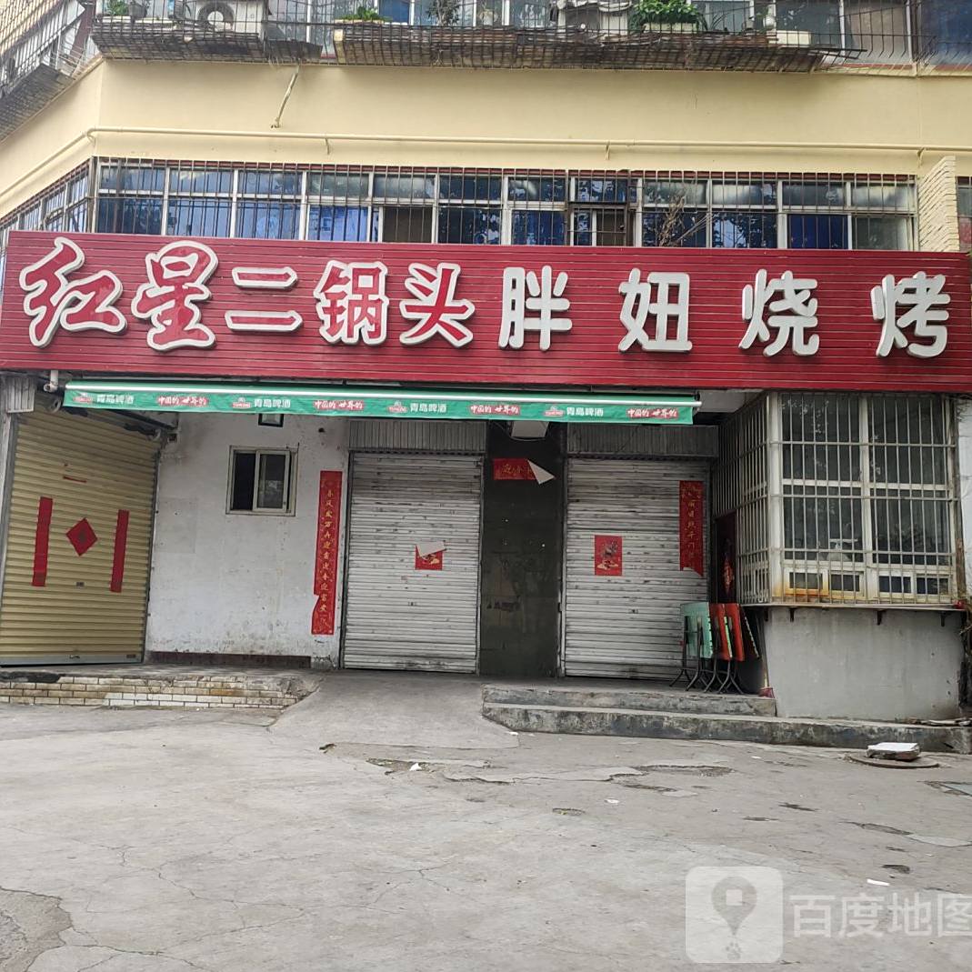 胖妞烧烤(西华大道店)