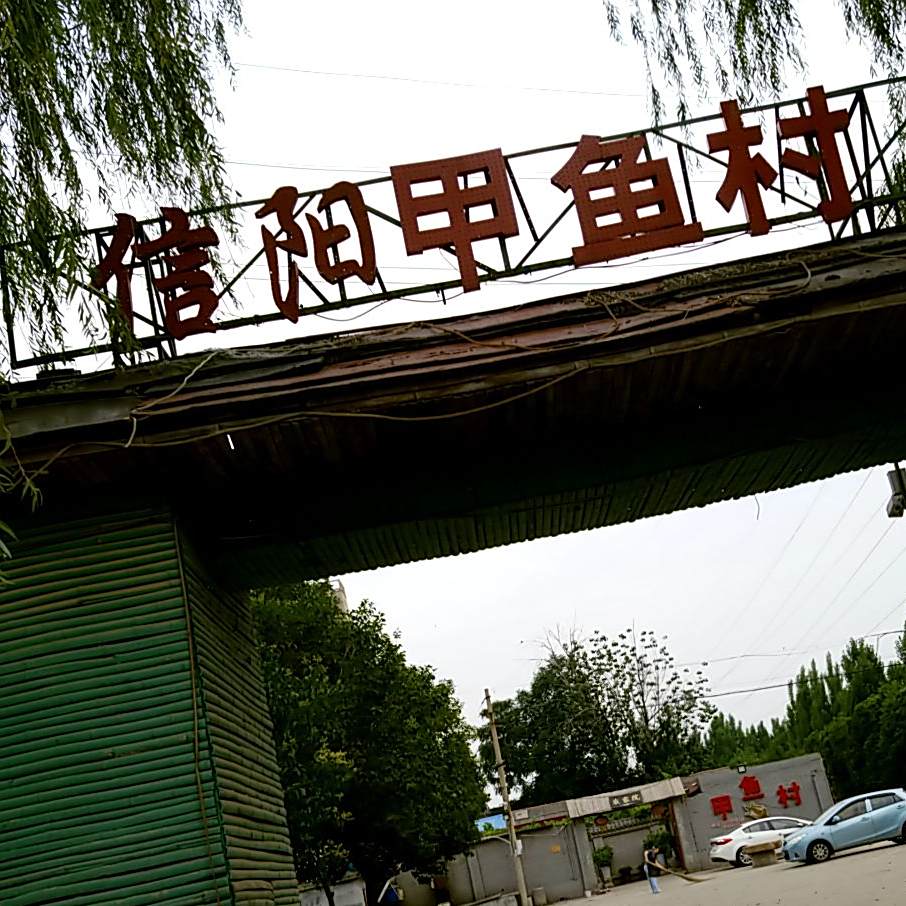 信阳甲鱼村(普济路店)