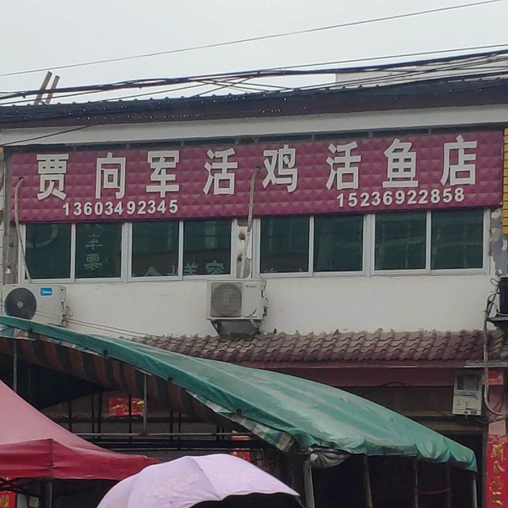 贾向军冷库海鲜松江