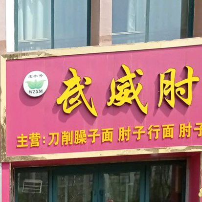 武威肘子行面馆(天津路店)