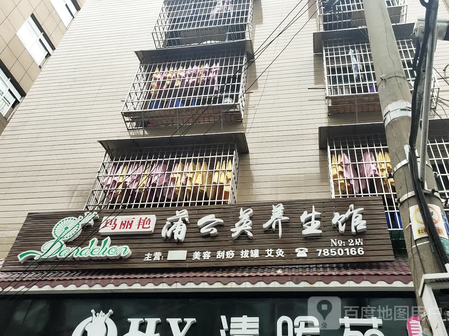 玛丽艳蒲公英养餬生馆