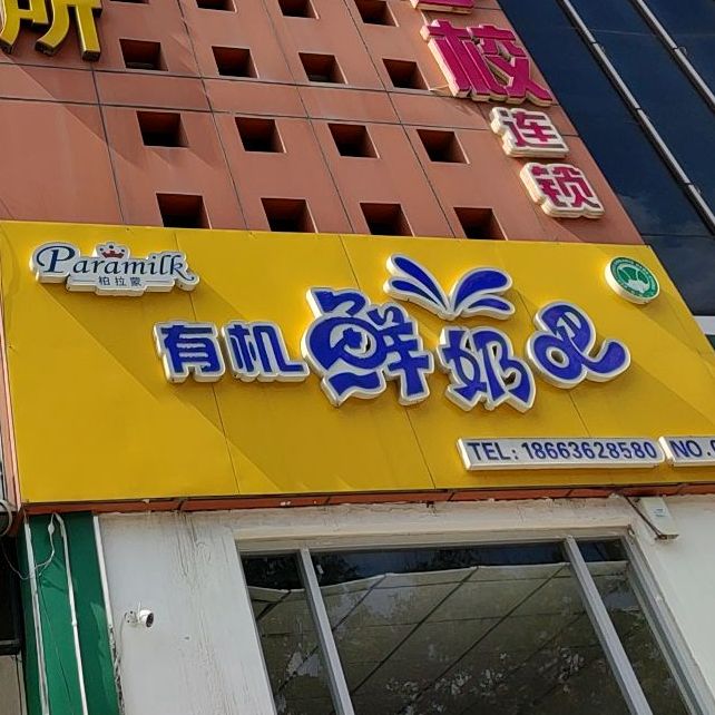 柏拉蒙酸奶吧(青都店)