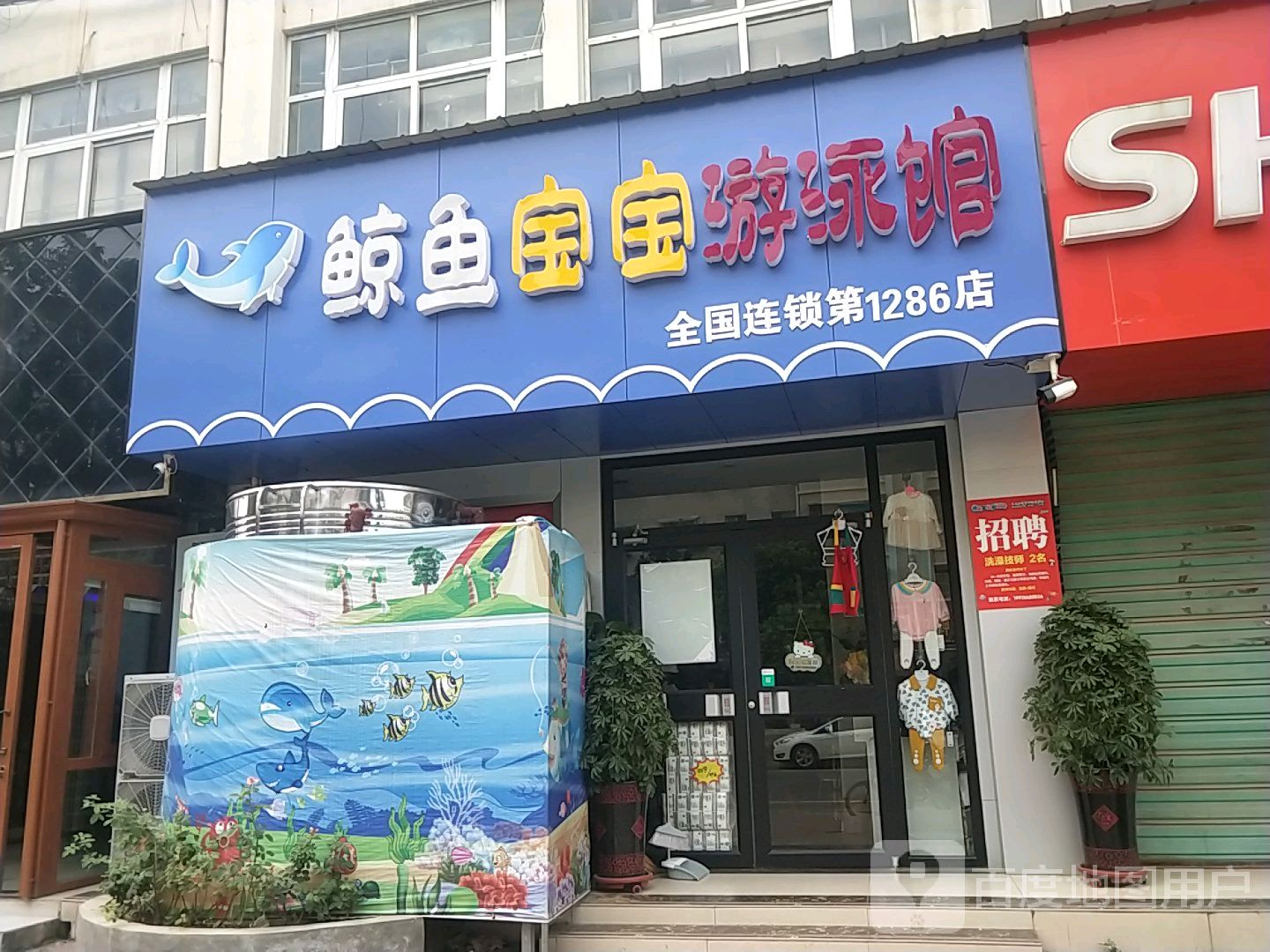 鲸鱼宝宝游泳馆(第1286店)