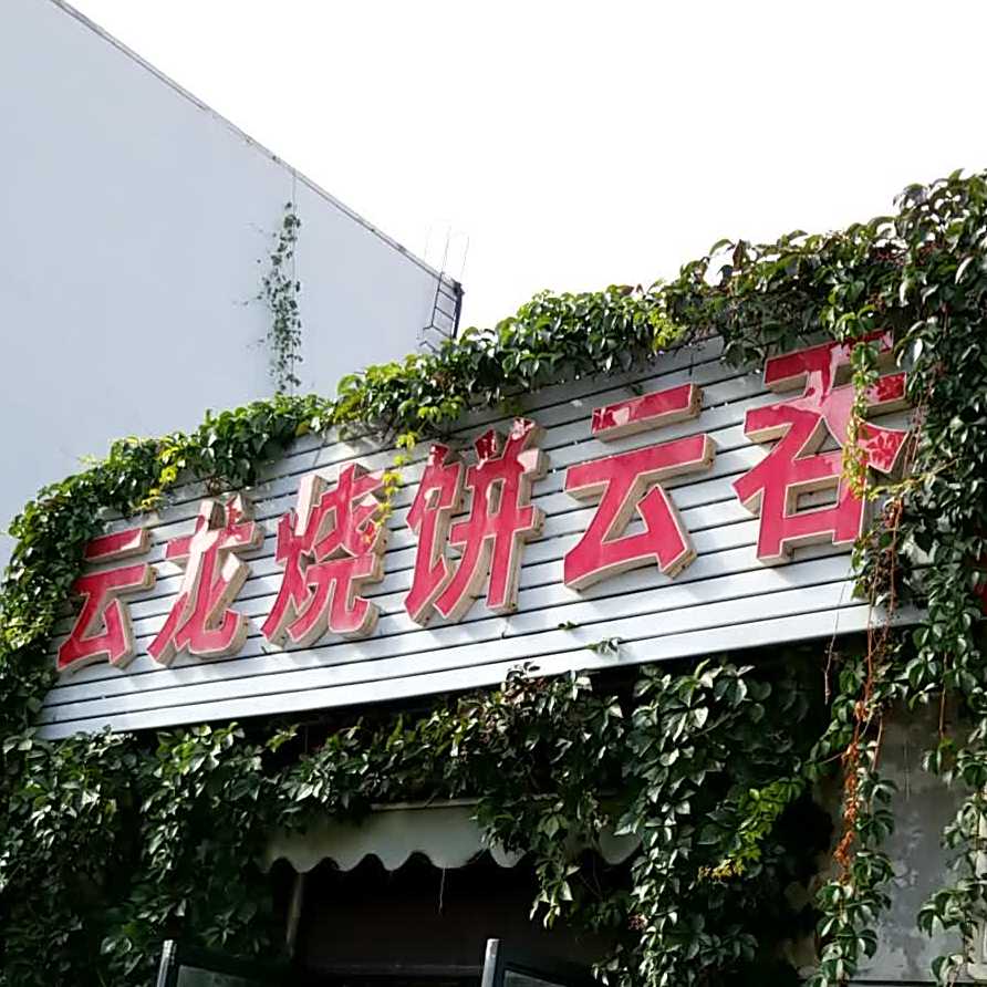 云龙烧饼云吞