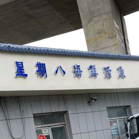 星星八海鲜活鱼部