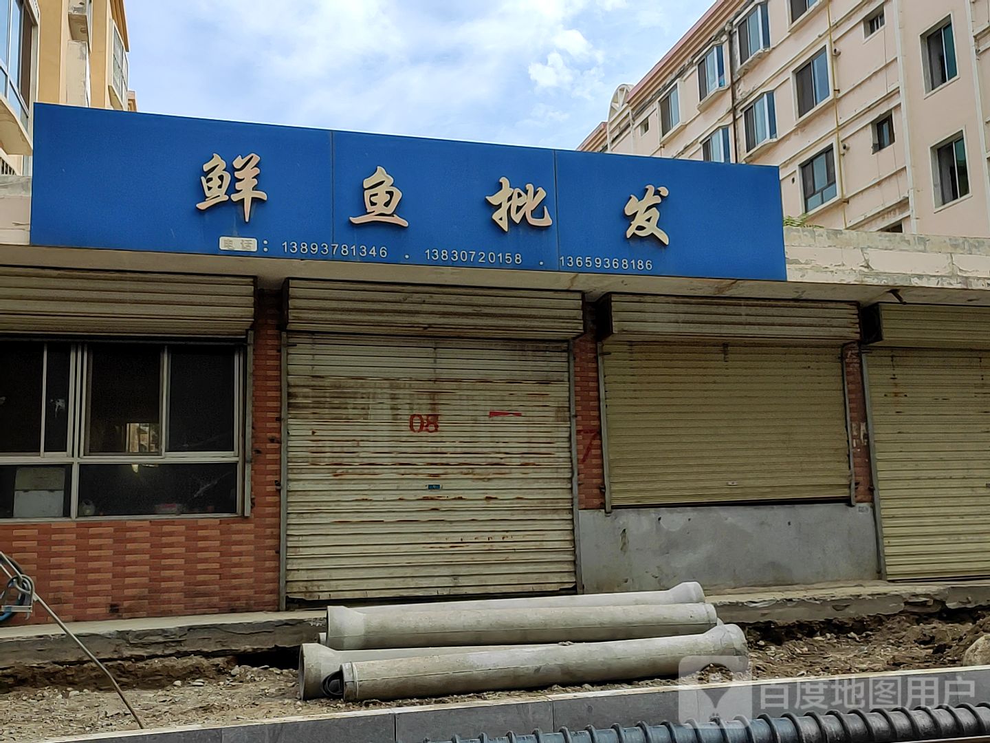 鲜鱼批发