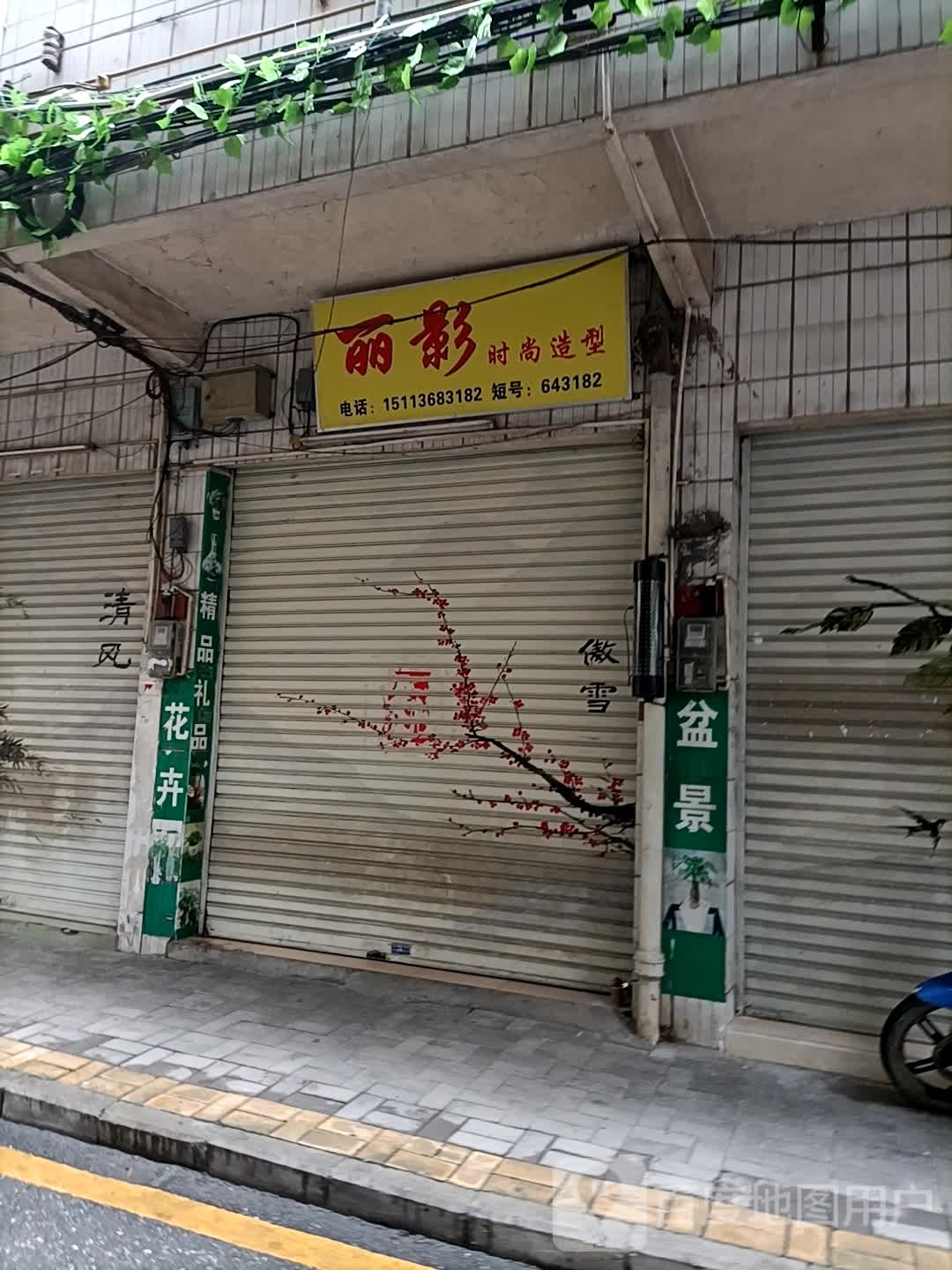 卡丽影