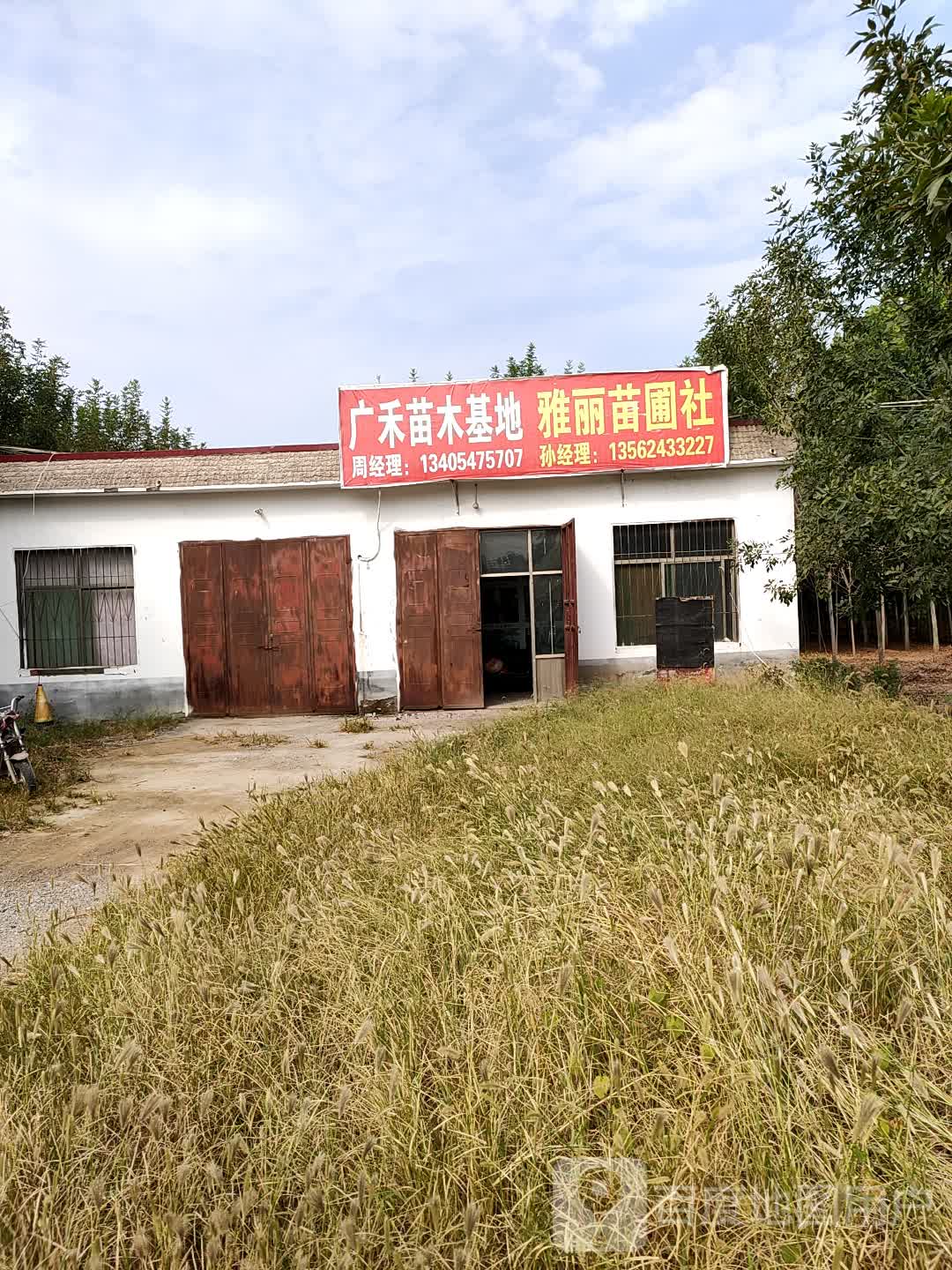 广禾苗木基地