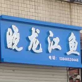 晓龙江鱼