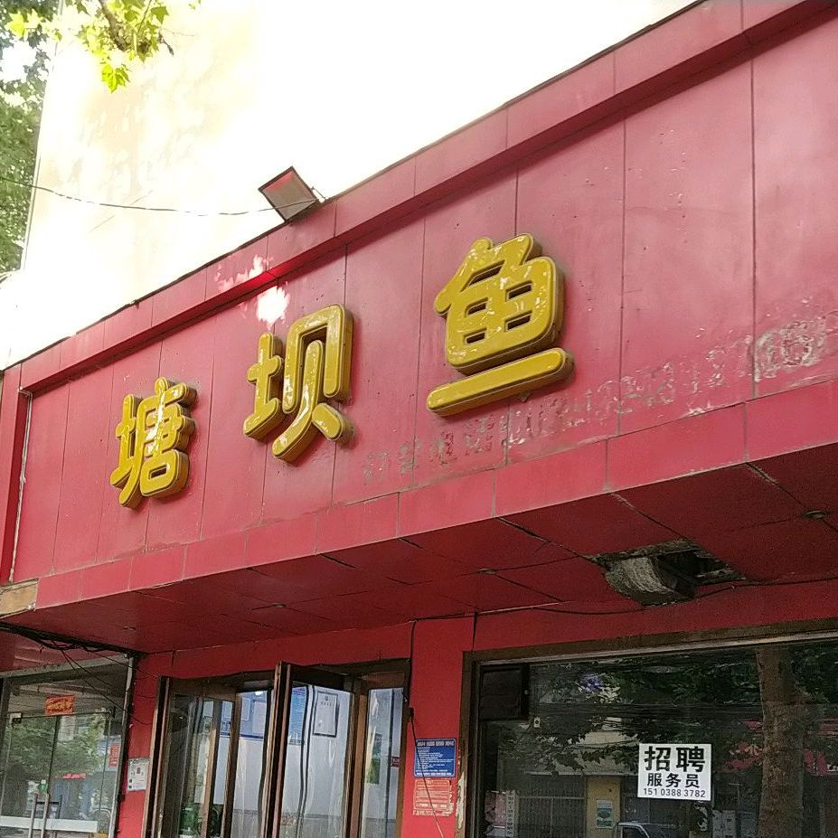 塘把鱼(建新街店)
