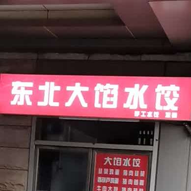 东北大馅水饺(远洋国际中心店)
