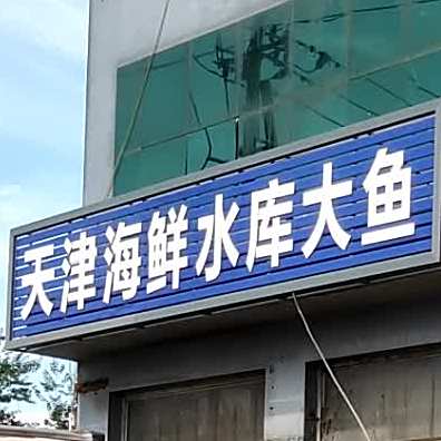 天津海鲜水库大鱼