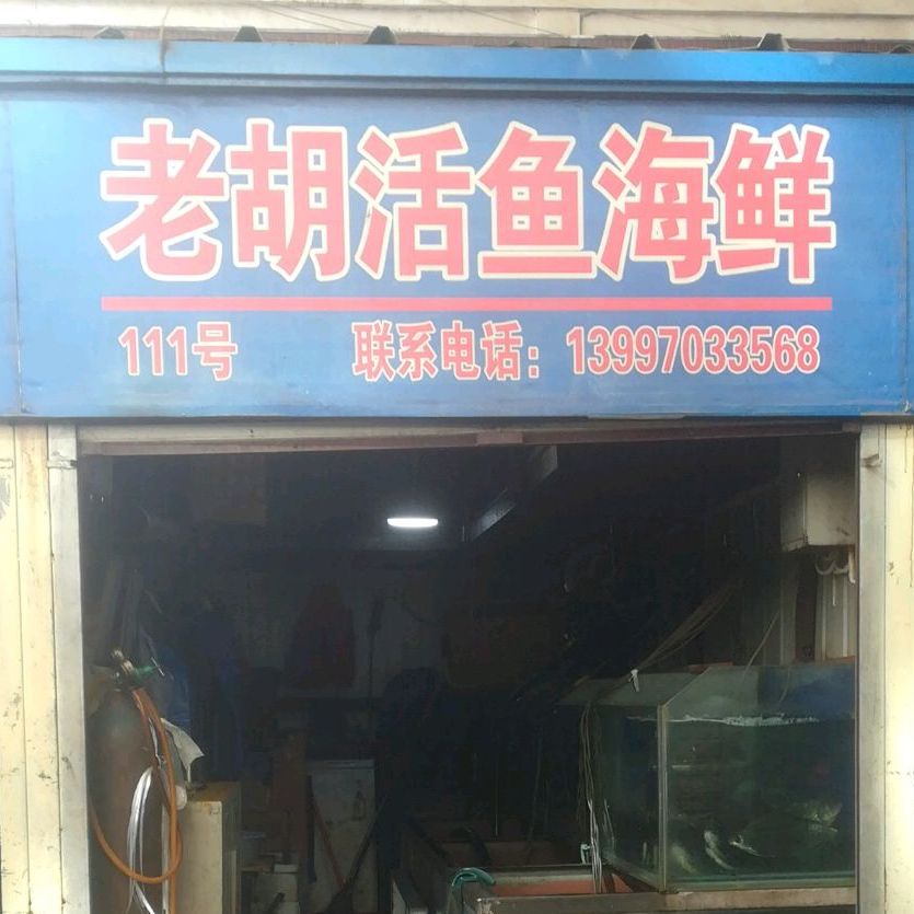 老胡活鱼海先
