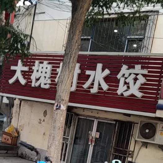 大槐树水饺