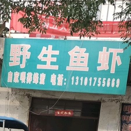 野生鱼虾