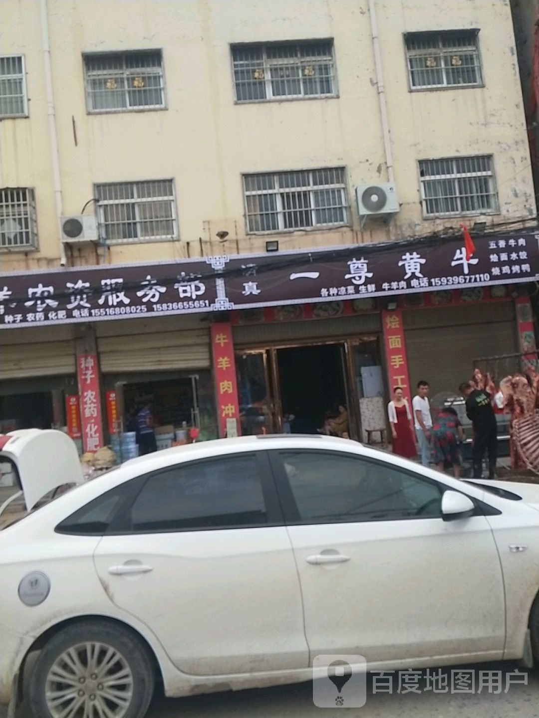 清真一尊黄牛