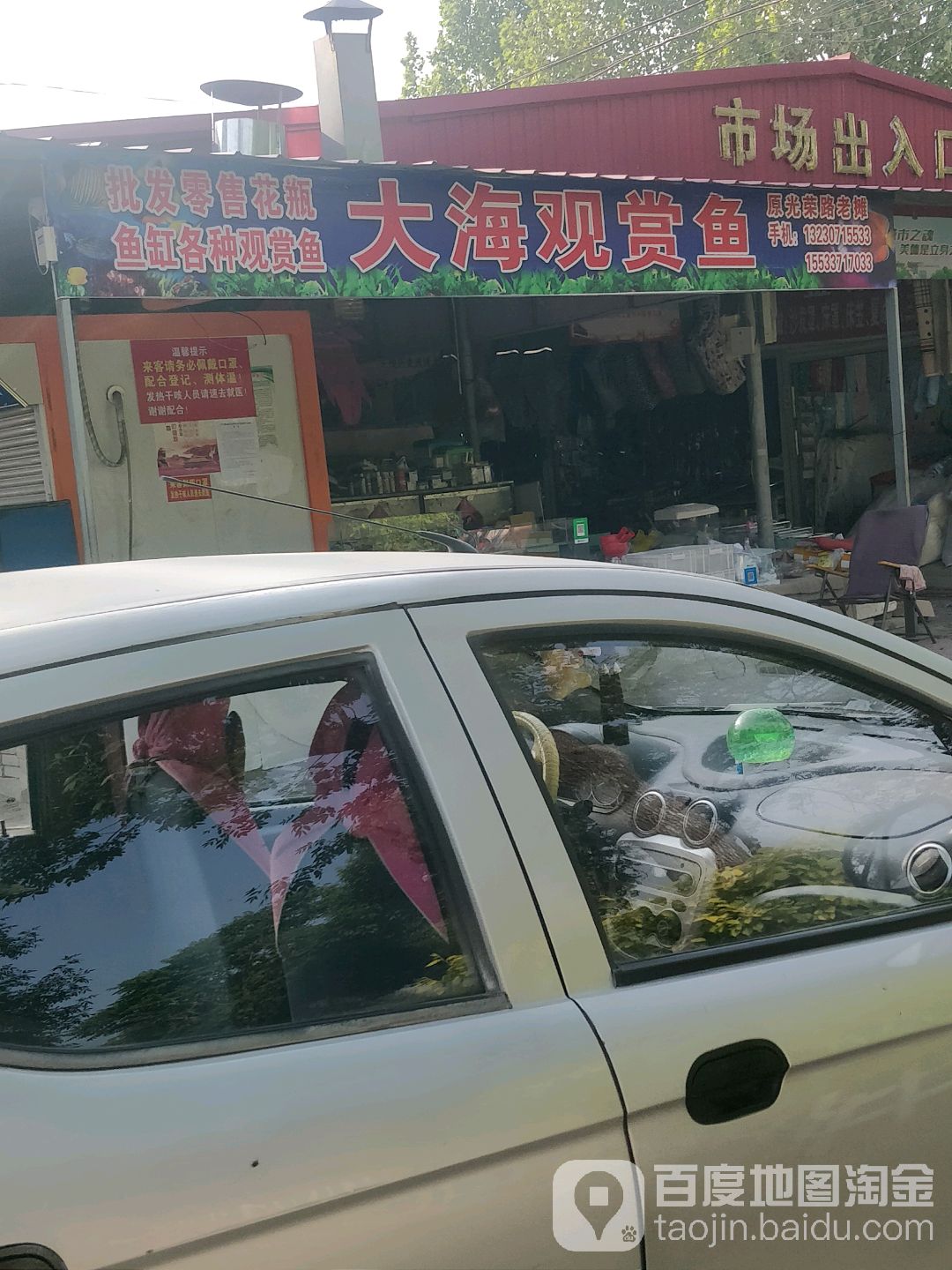 大海观赏鱼
