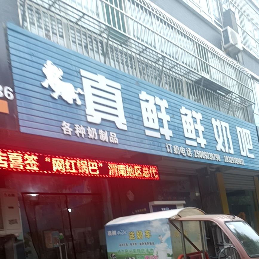 真仙鲜奶吧(凤凰中路店)