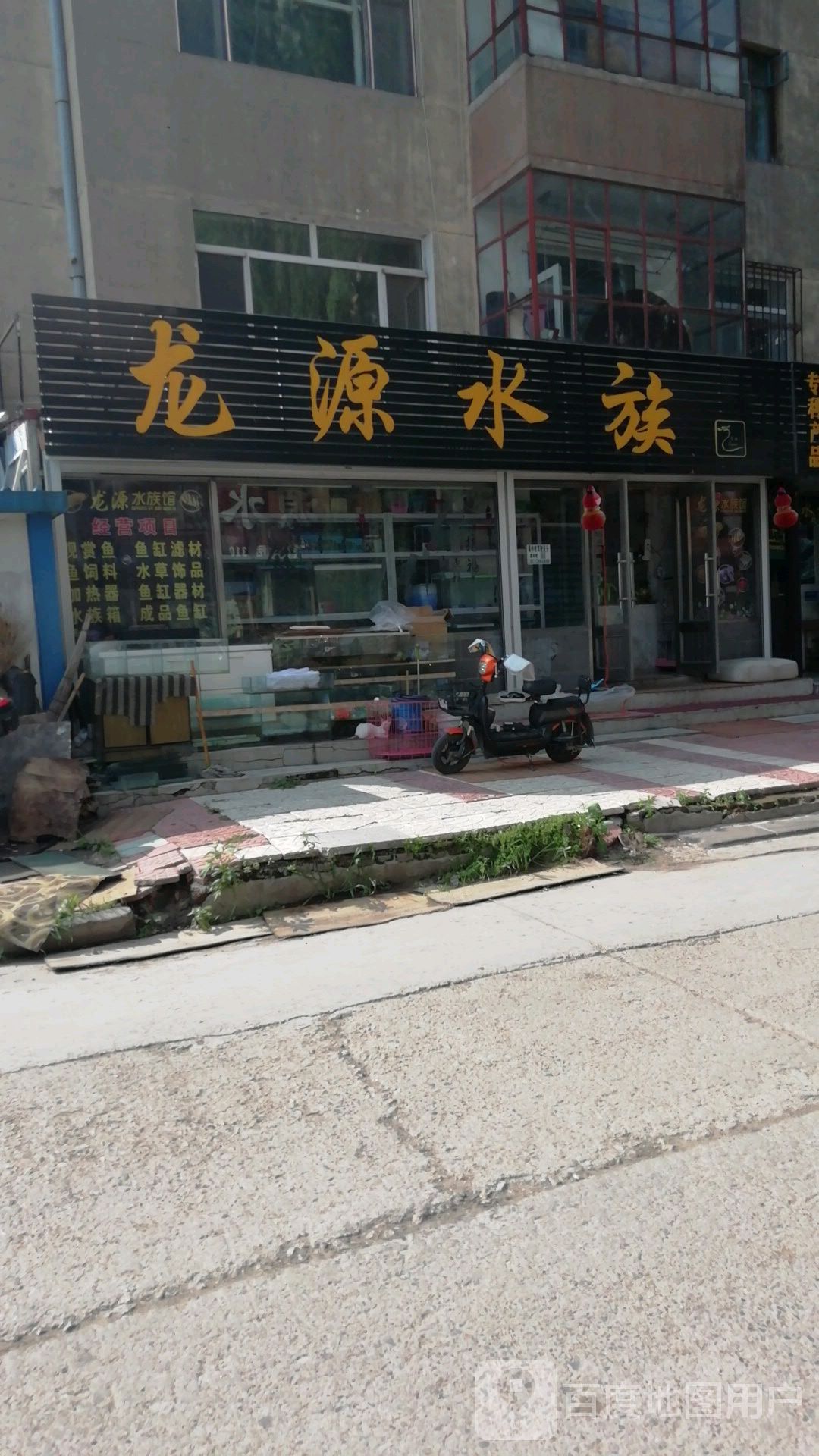 龙源水族(东门花鸟鱼市场店)