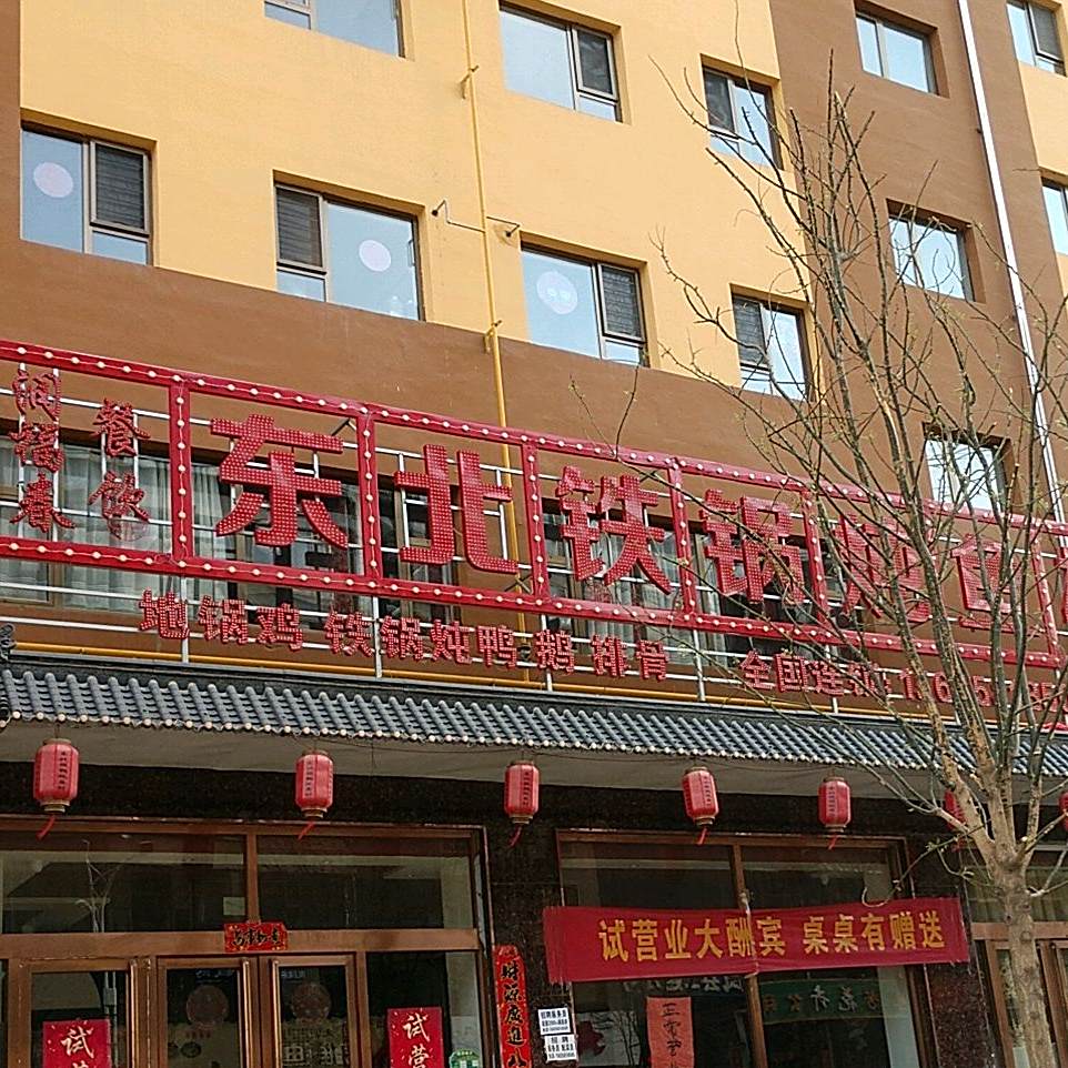 东北铁锅炖鱼村(新建路店)