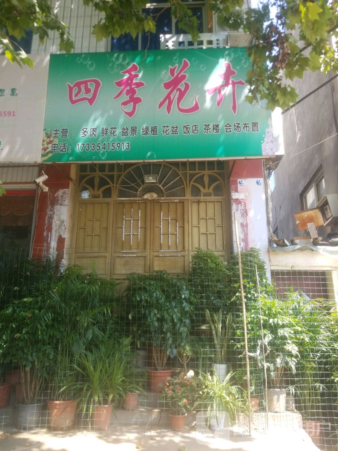 方城县四季花卉(滨河东路店)