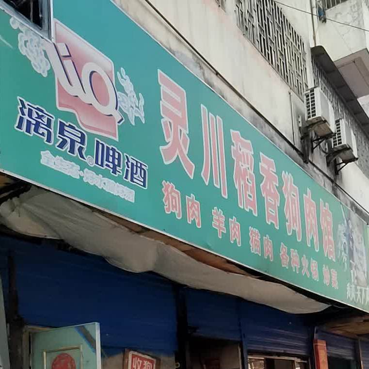 灵穿稻香狗肉馆