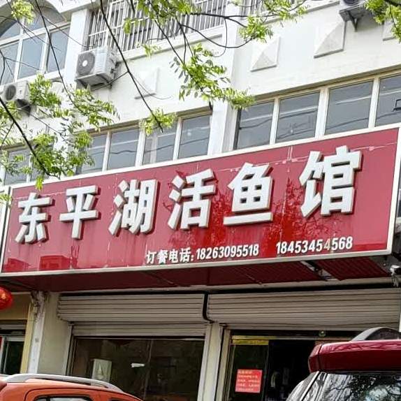 东平鱼活鱼管