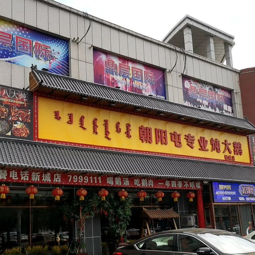 朝阳村专业炖大鹅(新城店)