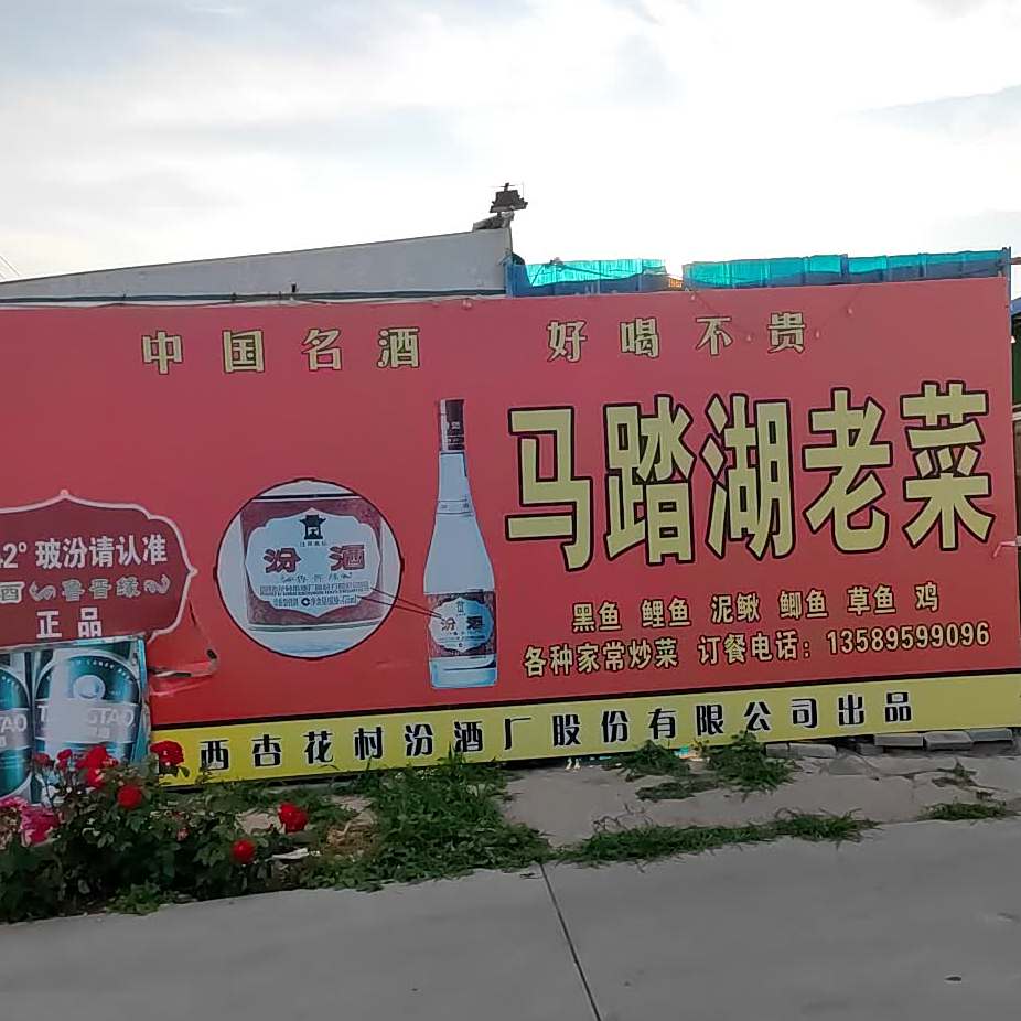 马踏湖老菜