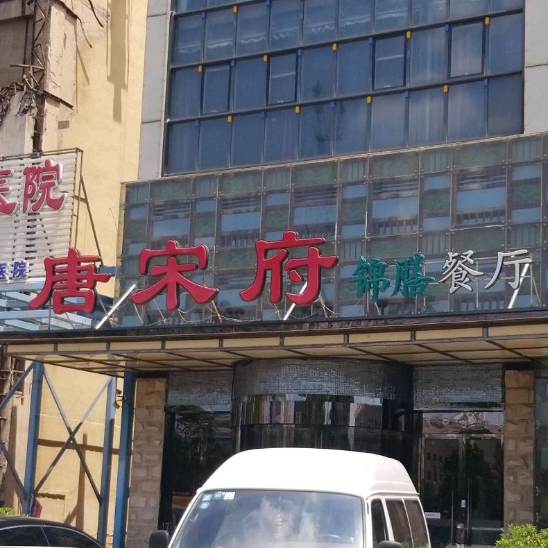 唐送府(南开店)