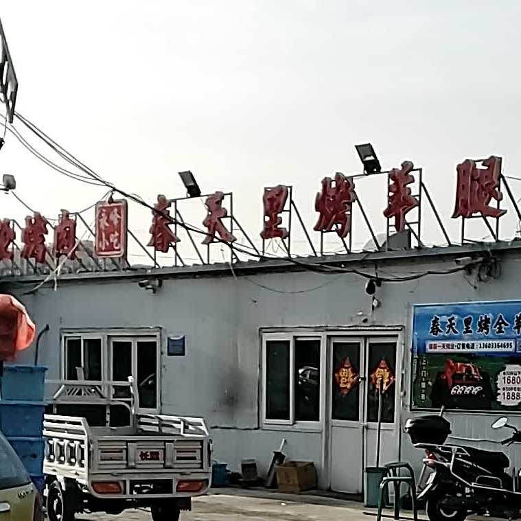 春天里烤全羊腿