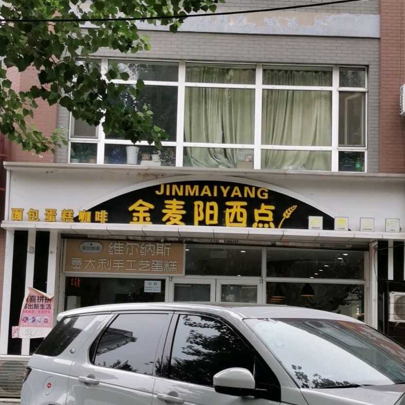 金麦阳市西(依云北郡C区店)