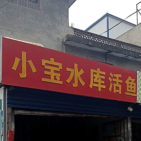 小宝水库河鱼