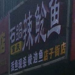 重庆石锅辣鲶鱼(店子街店)