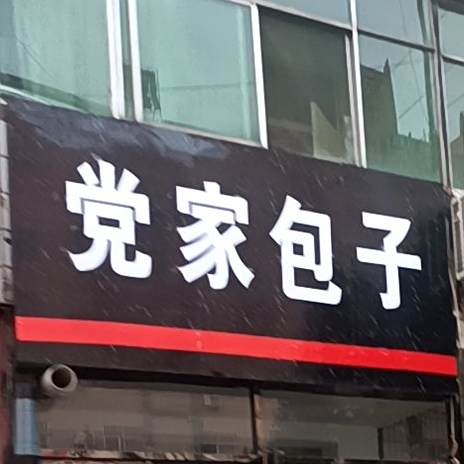 党家包子