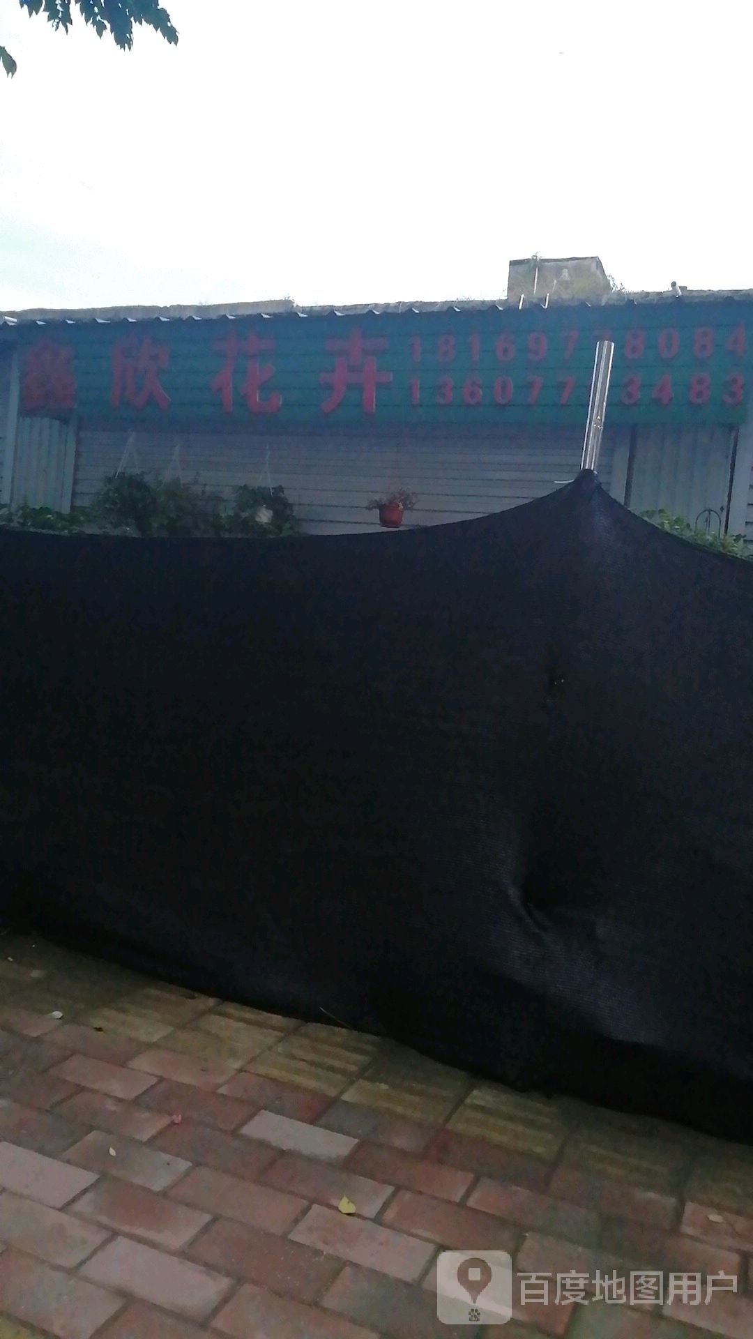 鑫欣花卉(四川路店)