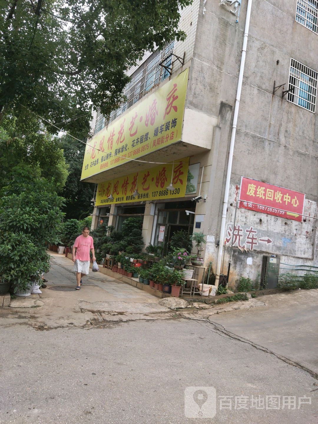 龙凤情花艺婚庆(凤阳街分店)