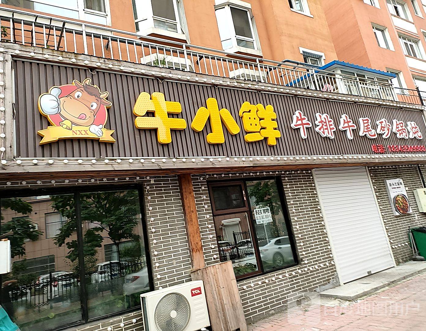 牛小鲜妞排牛尾砂锅炖(佳泰金水湾店)