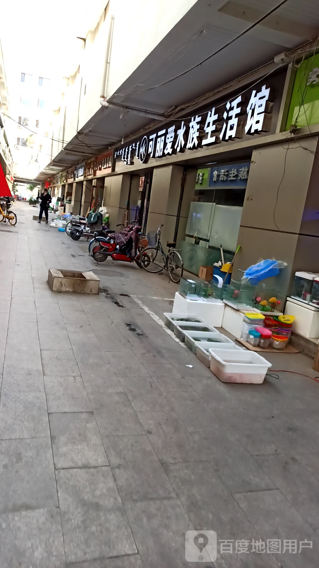 可丽爱水族生活馆