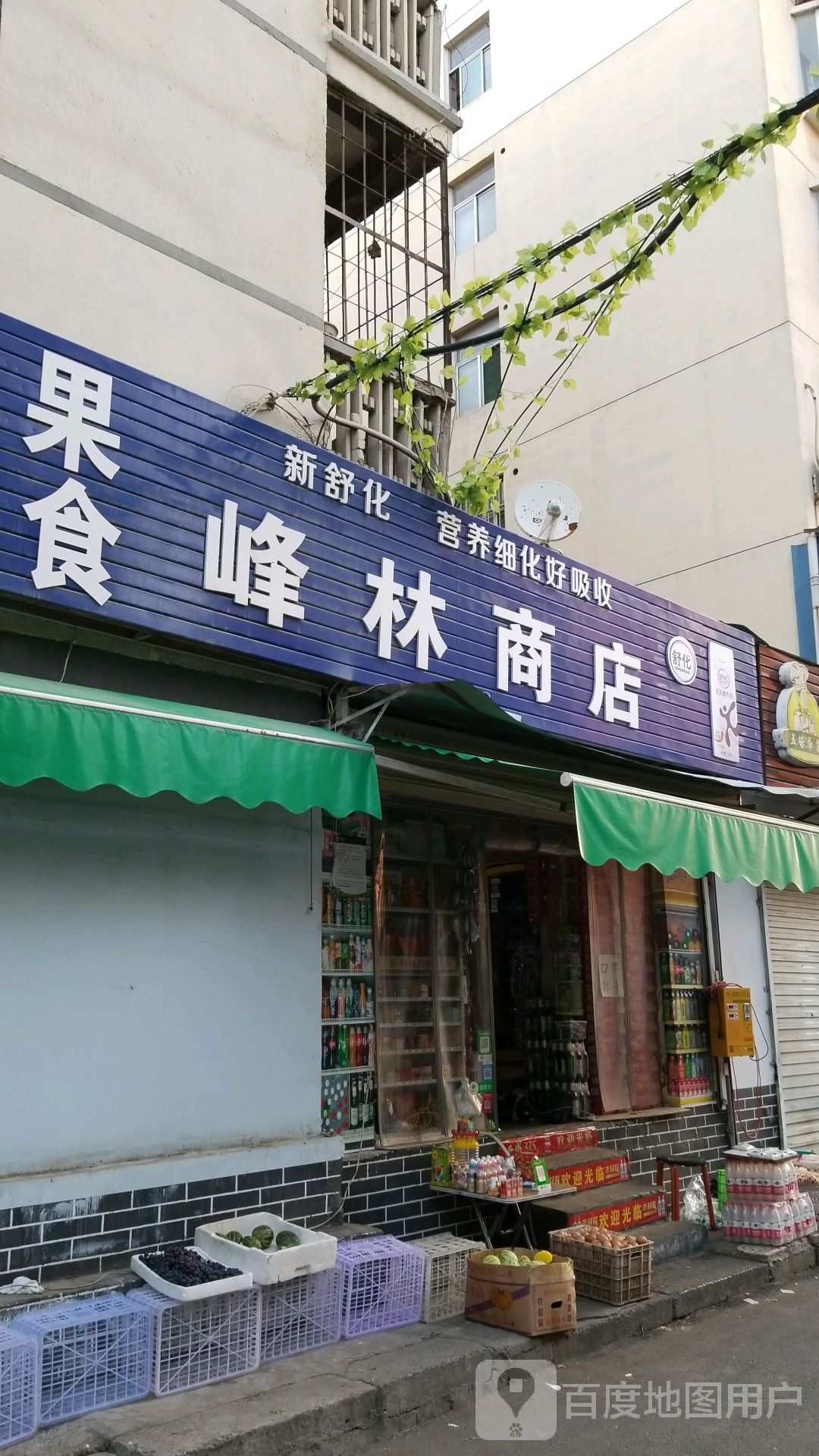 树峰林商店