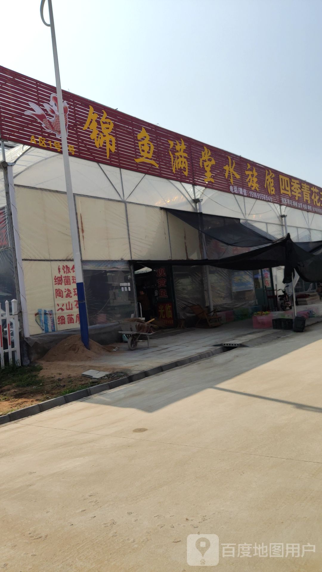 锦鱼满堂水族馆(临朐县花卉市场店)