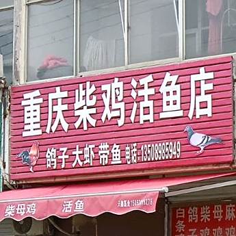 重庆柴鸡活鱼店