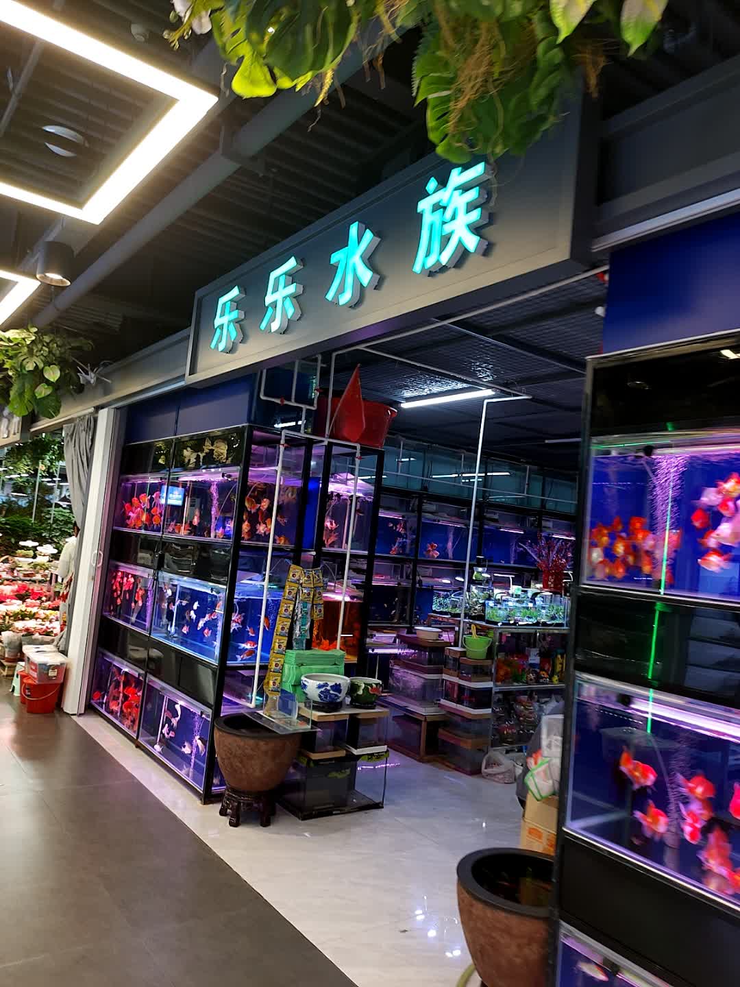 乐乐水族(二道区中东大市场店)